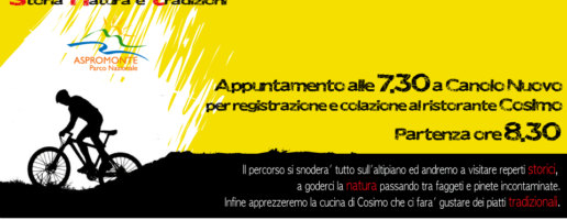 Sulle vie dei Romani